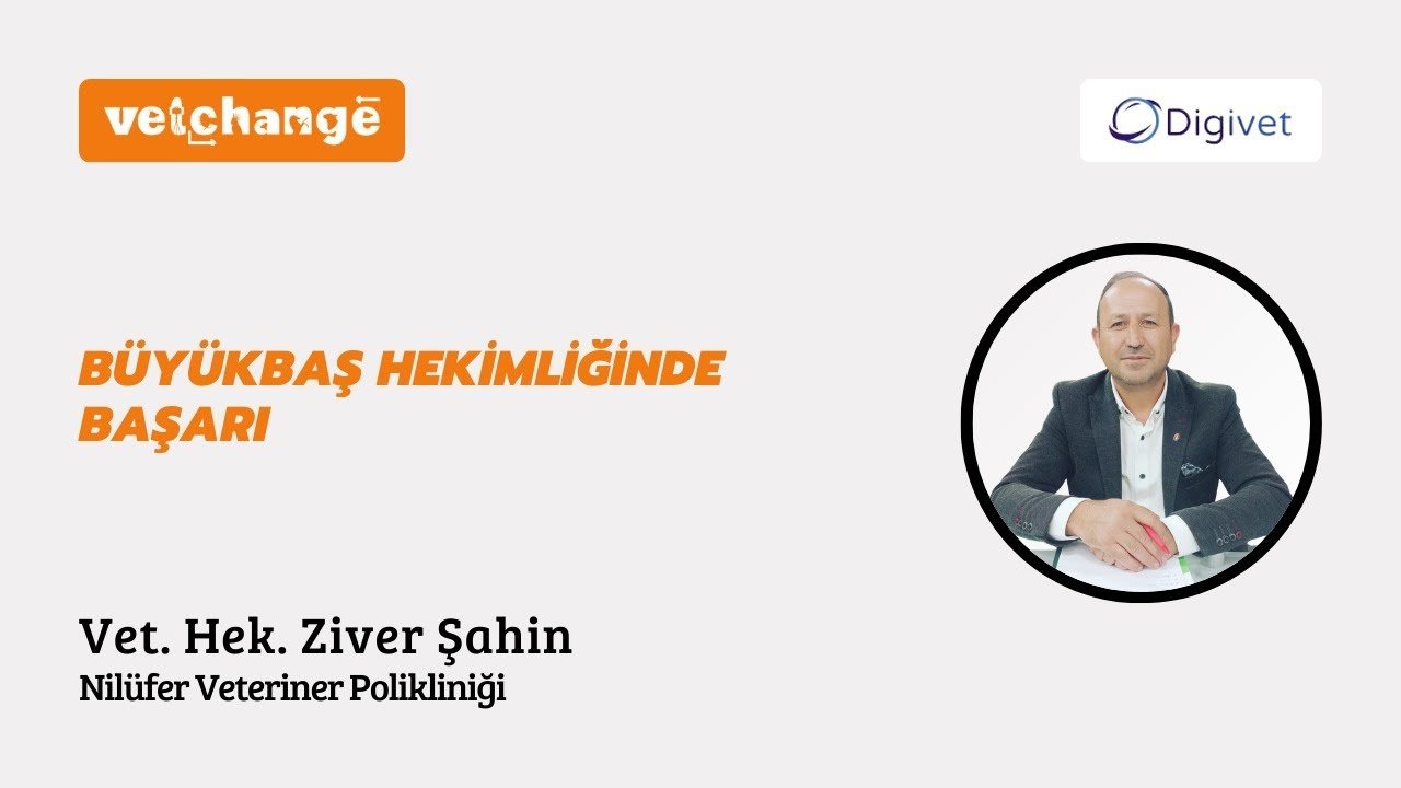 "Büyükbaş Hekimliğinde Başarı" Vet. Hek. Ziver ŞAHİN